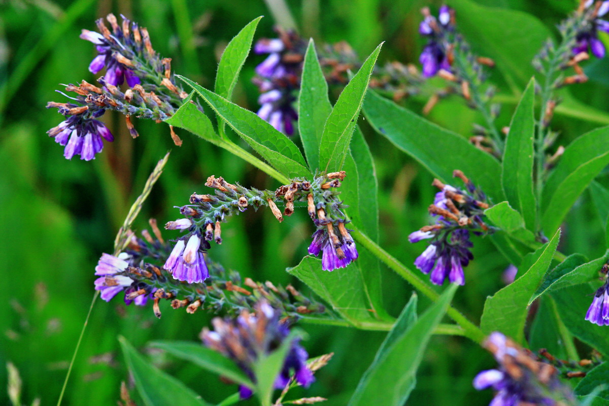 2013_06_28_00025109p_Bildgr��e �ndern