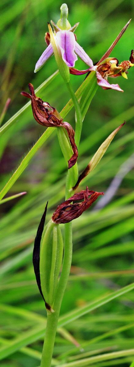 [Group 1]-2013_06_30_00025141_2013_06_30_00025158-18 imagesp_Bildgr��e �ndern