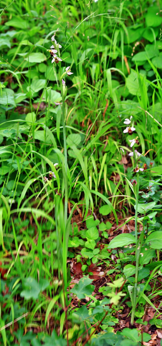 [Group 11]-2013_06_30_00025435_2013_06_30_00025453-6 imagesp_Bildgr��e �ndern