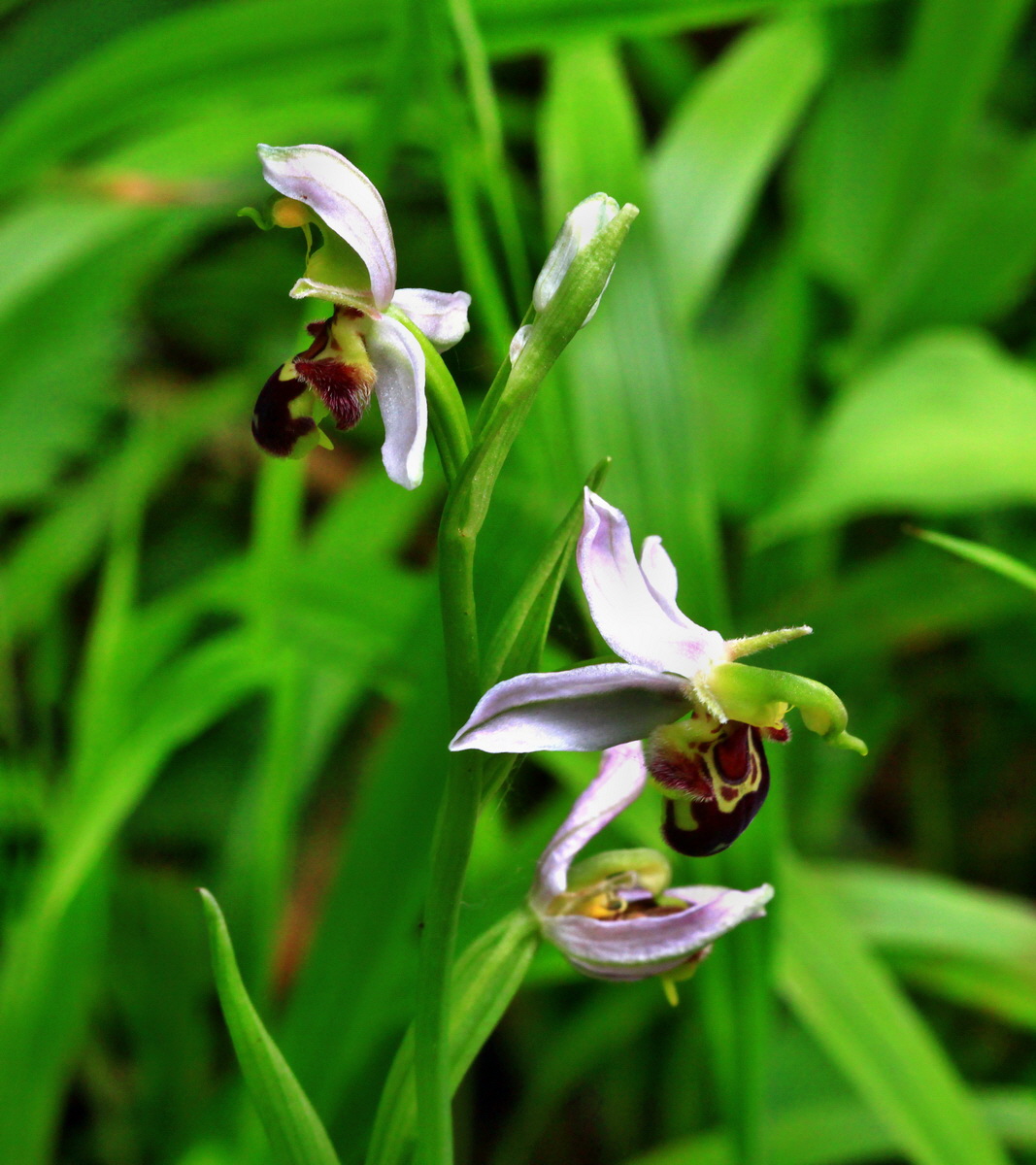 [Group 12]-2013_06_30_00025492_2013_06_30_00025495-4 imagesp_Bildgr��e �ndern