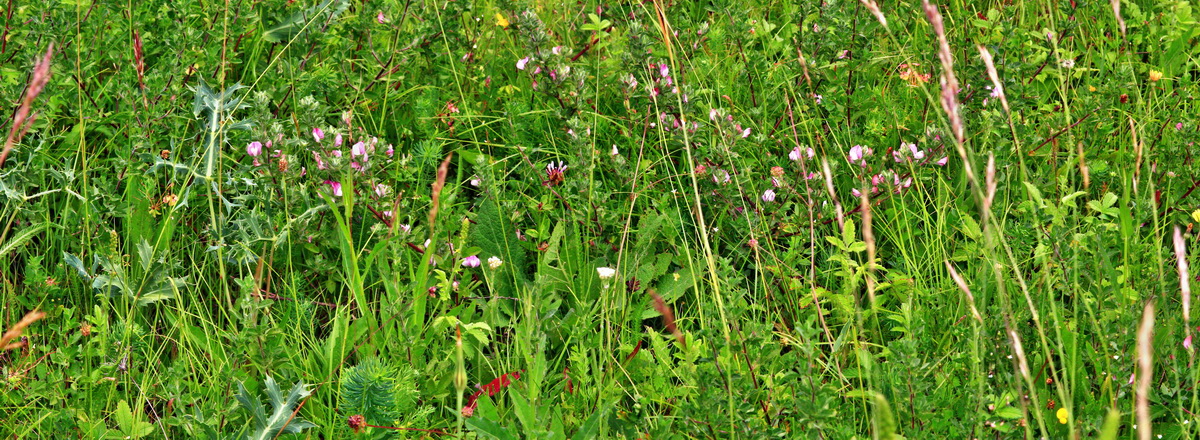 [Group 14]-2013_06_30_00025522_2013_06_30_00025524-2 imagesp_Bildgr��e �ndern