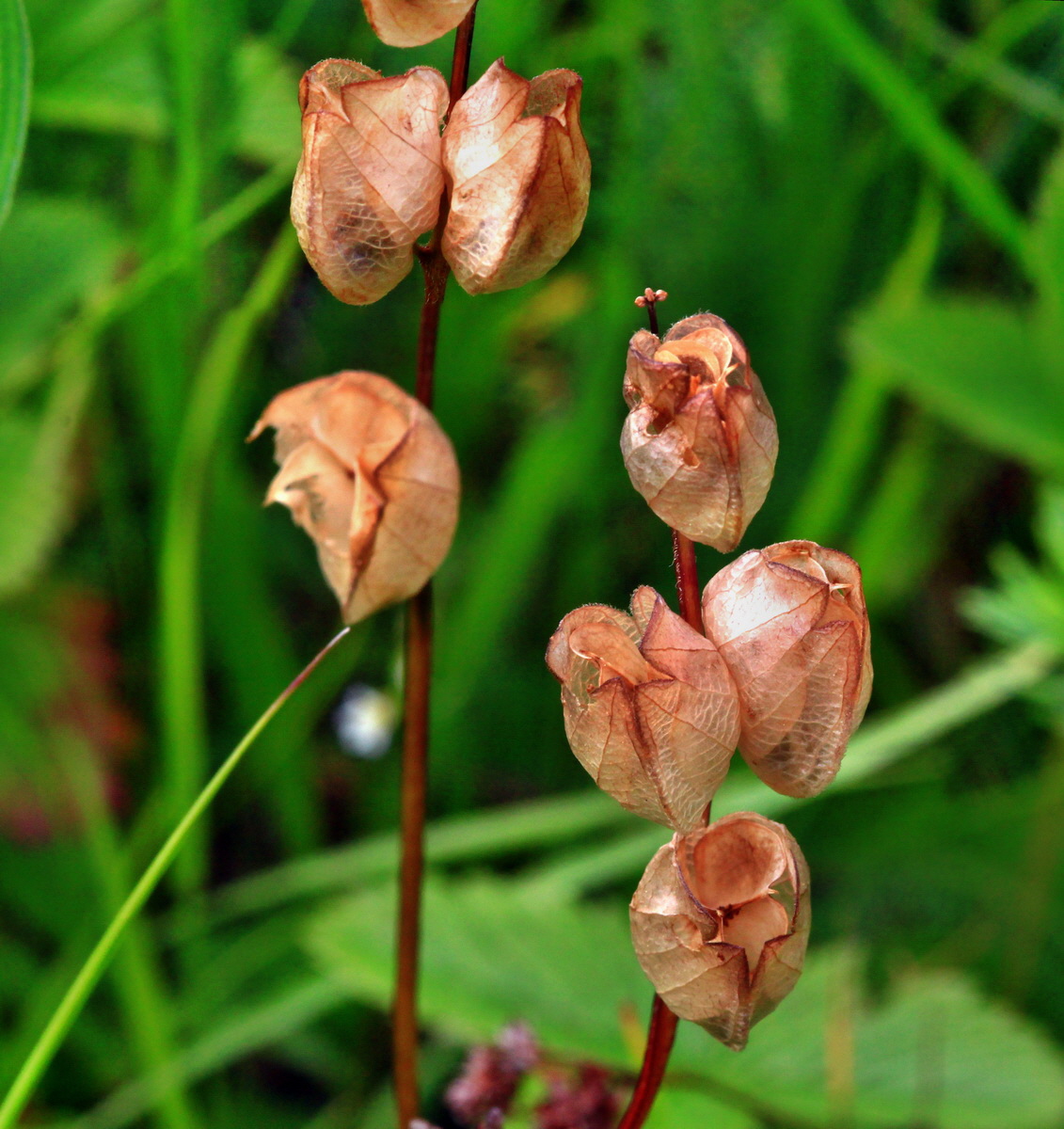 [Group 3]-2013_06_30_00025239_2013_06_30_00025242-2 imagesp_Bildgr��e �ndern