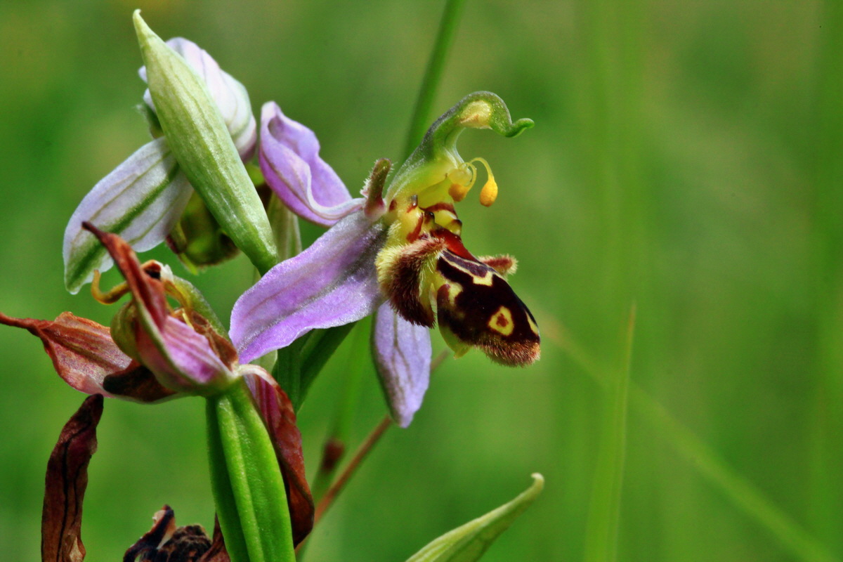 2013_06_30_00025117p_Bildgr��e �ndern