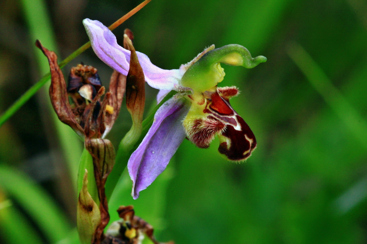 2013_06_30_00025129p_Bildgr��e �ndern