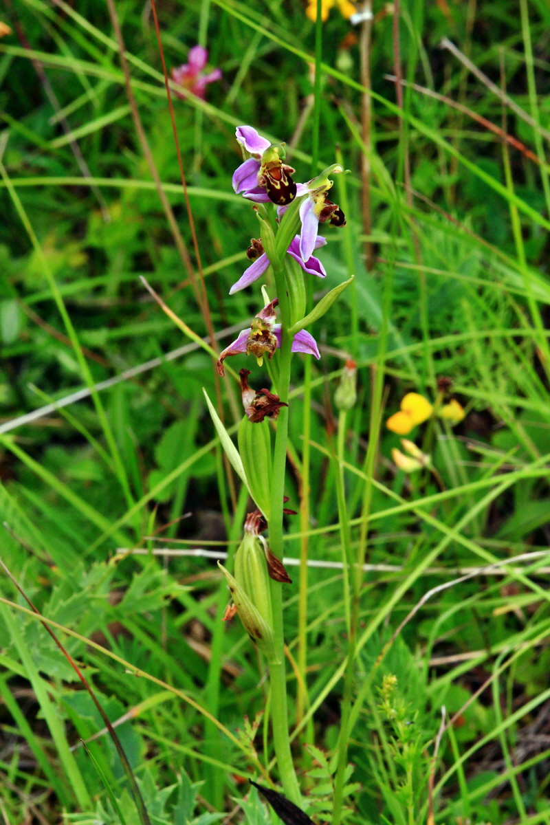 2013_06_30_00025135p_Bildgr��e �ndern