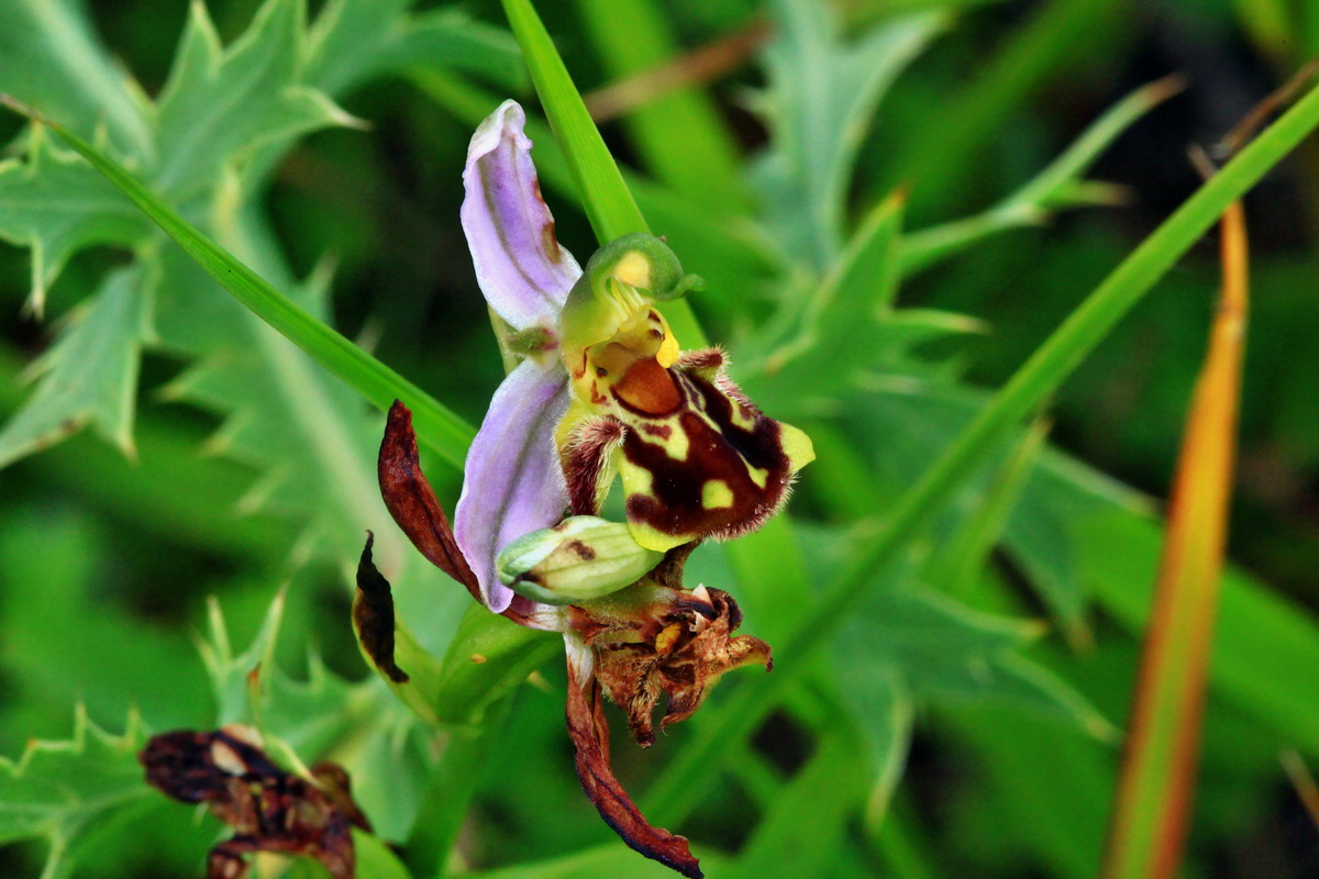 2013_06_30_00025165p_Bildgr��e �ndern