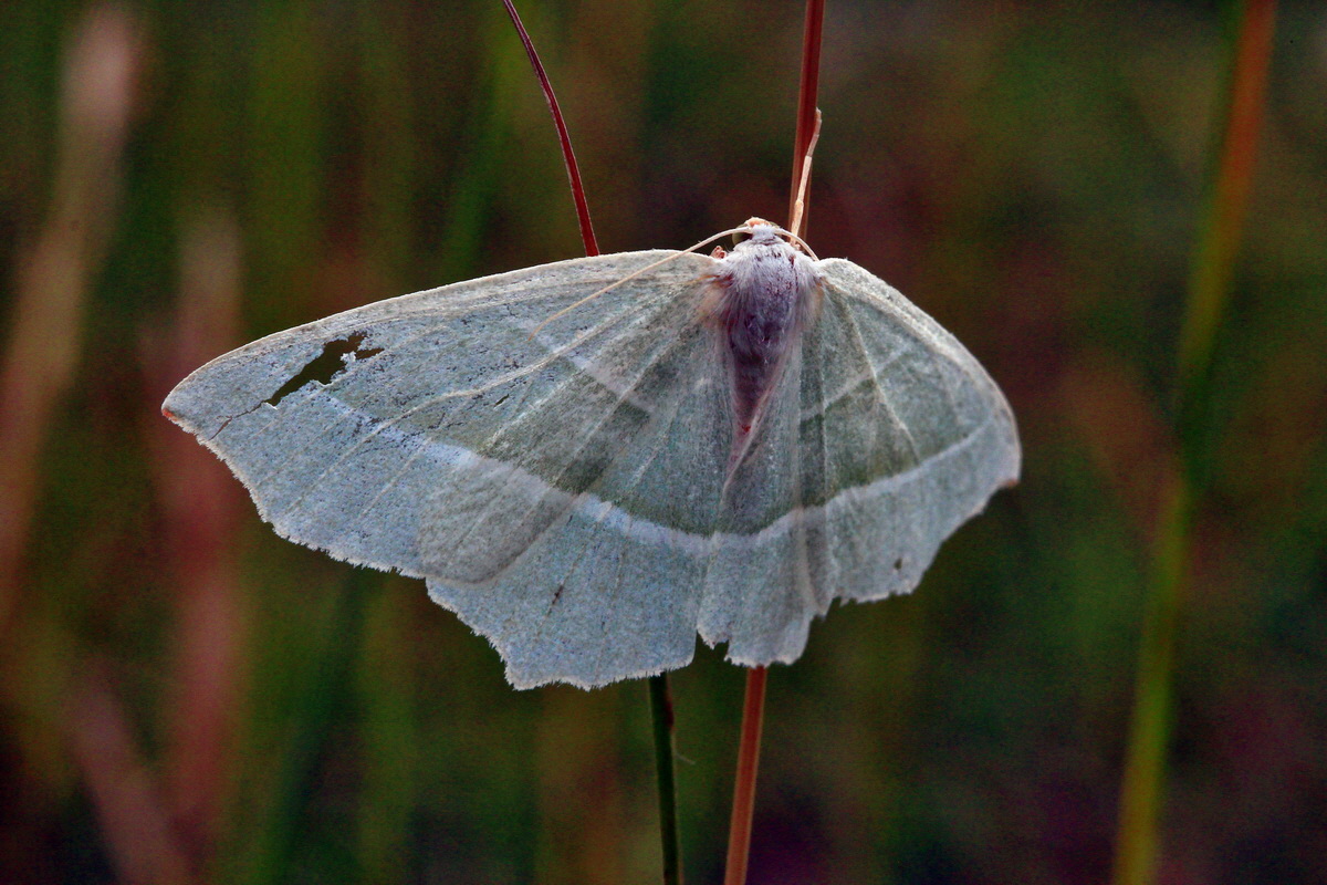 2013_06_30_00025201p_Bildgr��e �ndern