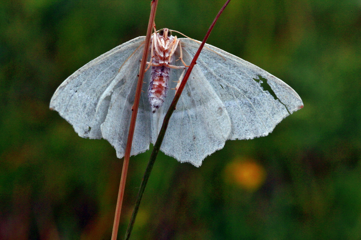 2013_06_30_00025204p_Bildgr��e �ndern