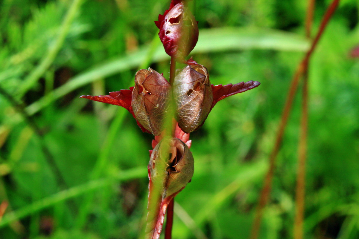 2013_06_30_00025244p_Bildgr��e �ndern