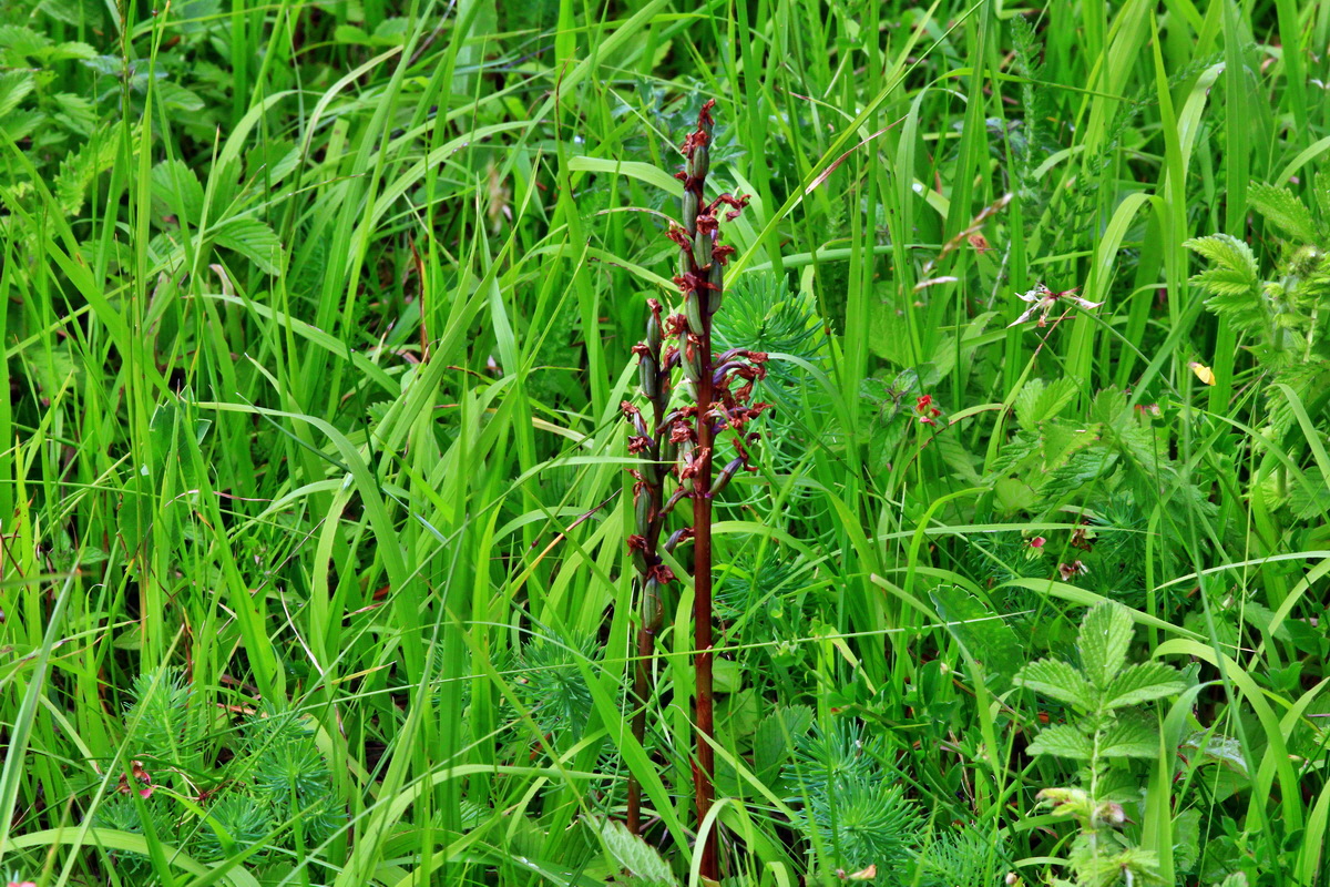 2013_06_30_00025248p_Bildgr��e �ndern