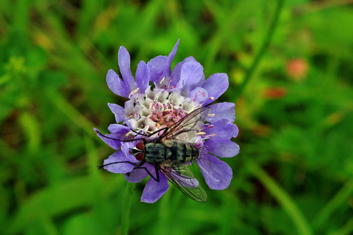 2013_06_30_00025255p_Bildgr��e �ndern