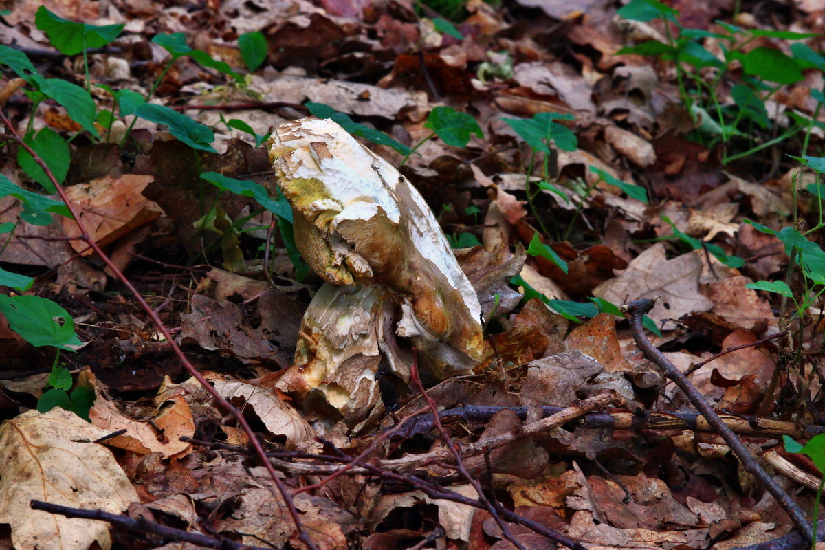 2013_06_30_00025263p_Bildgr��e �ndern