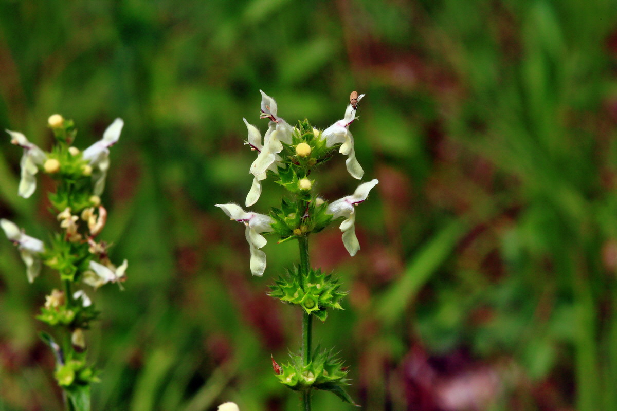 2013_06_30_00025324p_Bildgr��e �ndern