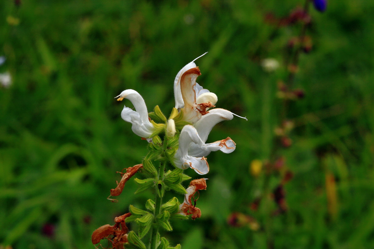 2013_06_30_00025327p_Bildgr��e �ndern