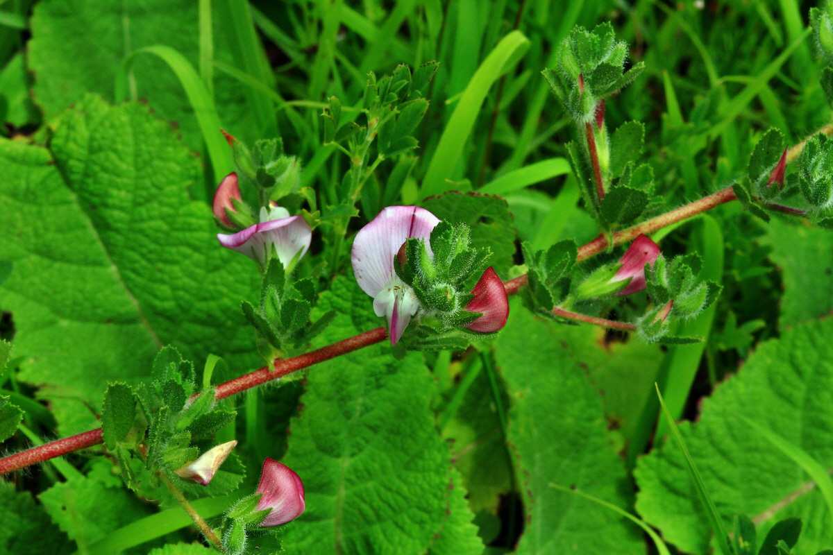 2013_06_30_00025332p_Bildgr��e �ndern