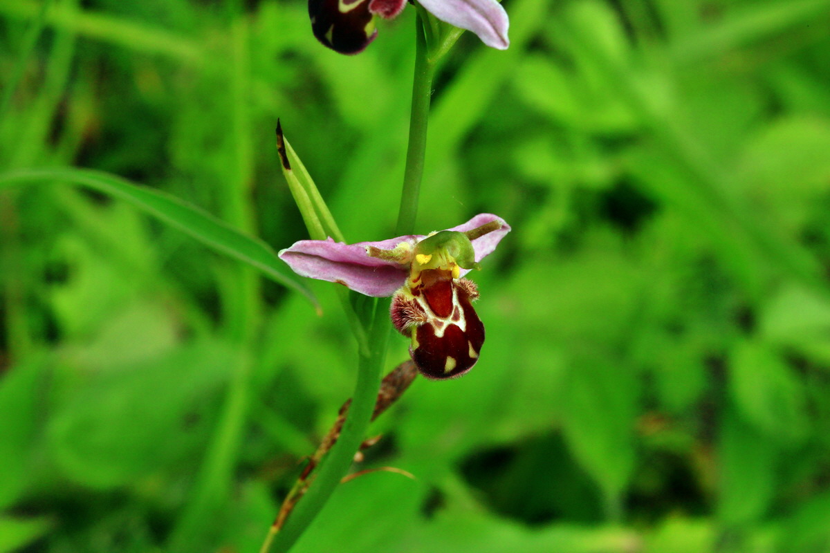 2013_06_30_00025336p_Bildgr��e �ndern