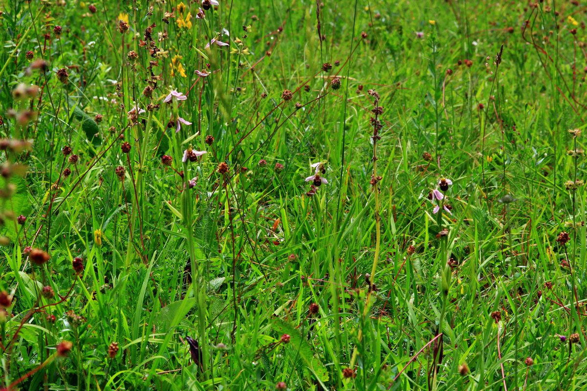 2013_06_30_00025353p_Bildgr��e �ndern