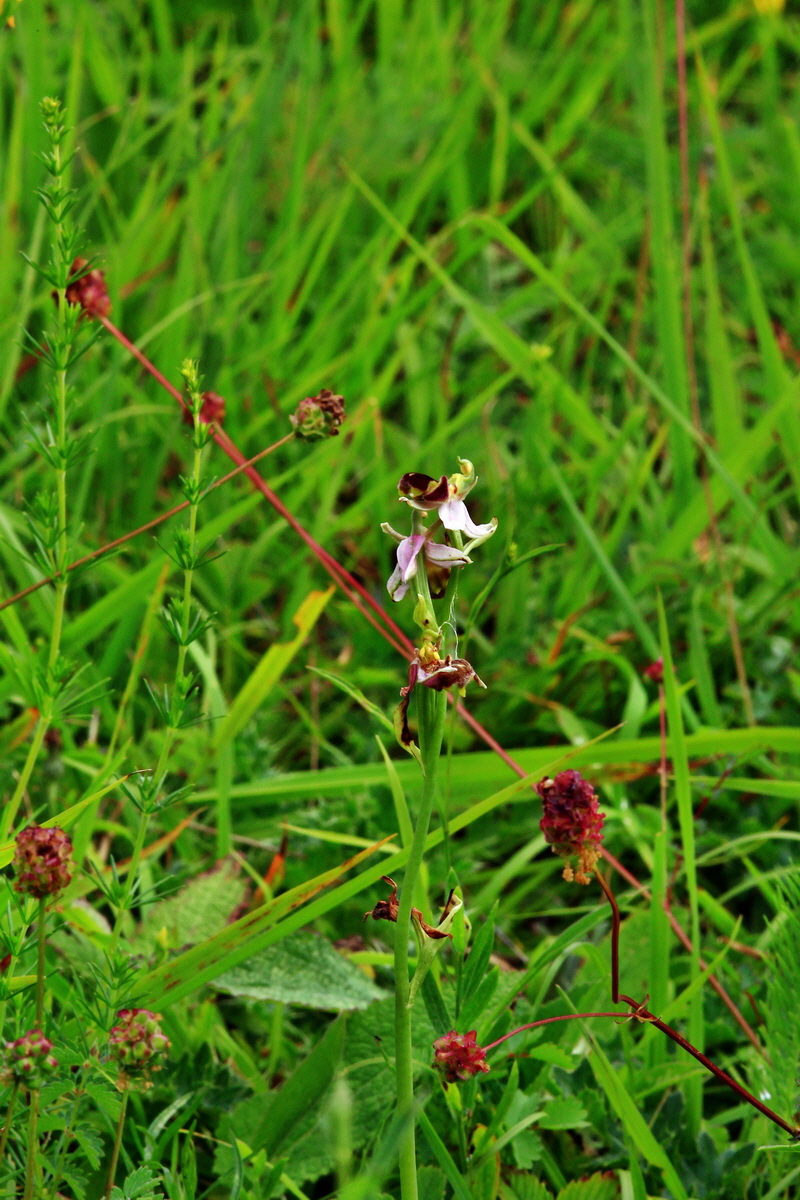 2013_06_30_00025359p_Bildgr��e �ndern