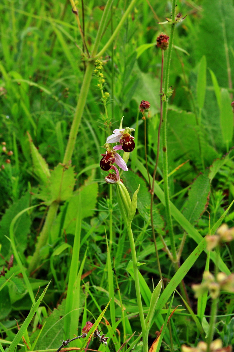 2013_06_30_00025377p_Bildgr��e �ndern