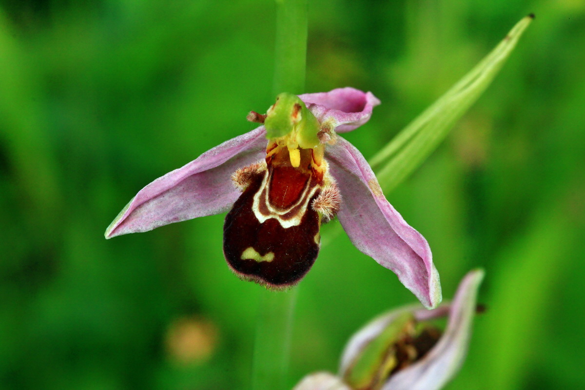 2013_06_30_00025387p_Bildgr��e �ndern