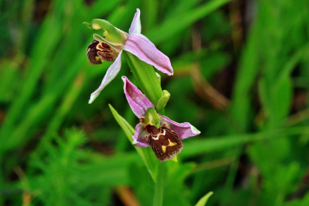 2013_06_30_00025393p_Bildgr��e �ndern