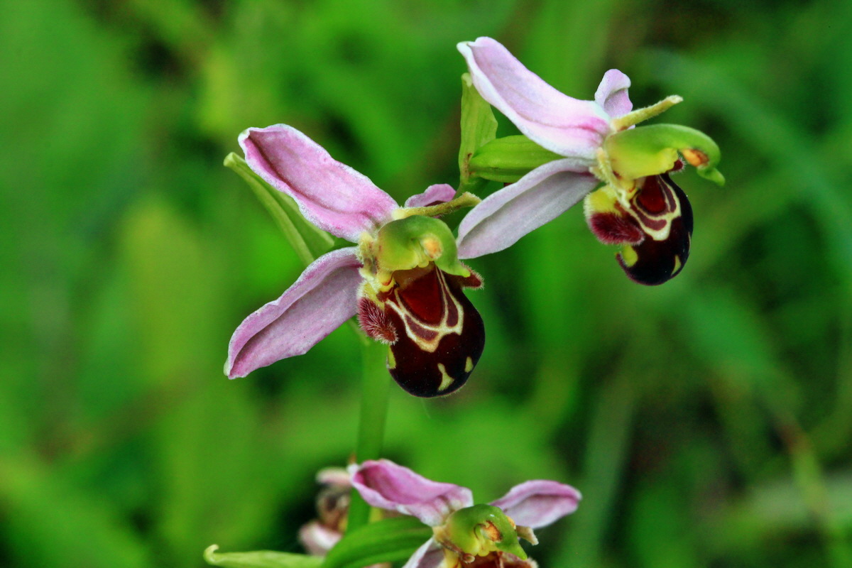 2013_06_30_00025402p_Bildgr��e �ndern