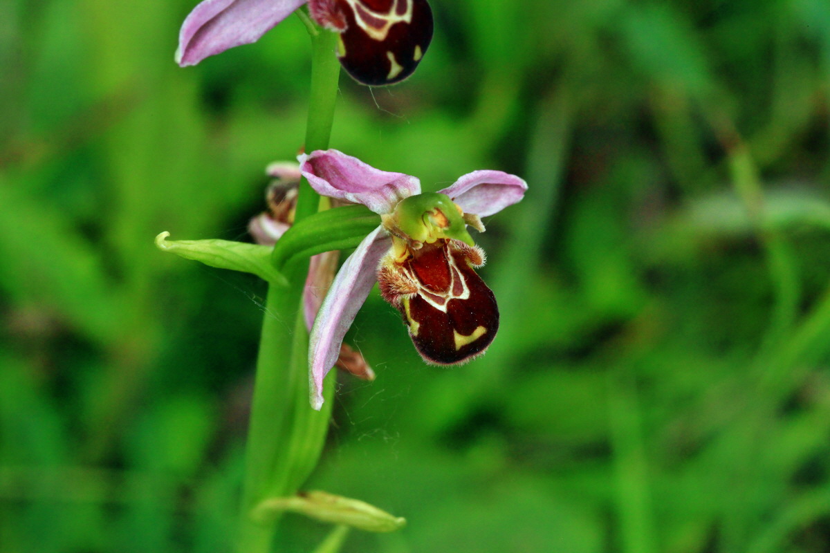 2013_06_30_00025405p_Bildgr��e �ndern