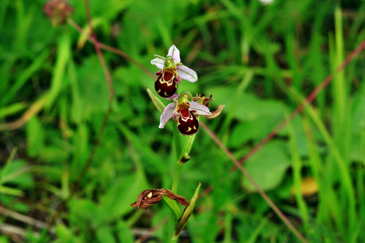 2013_06_30_00025412p_Bildgr��e �ndern