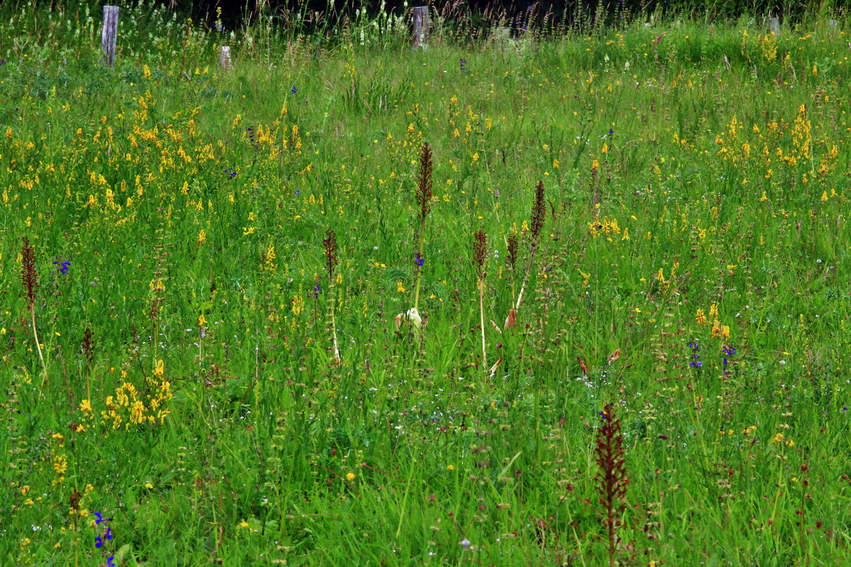 2013_06_30_00025416p_Bildgr��e �ndern