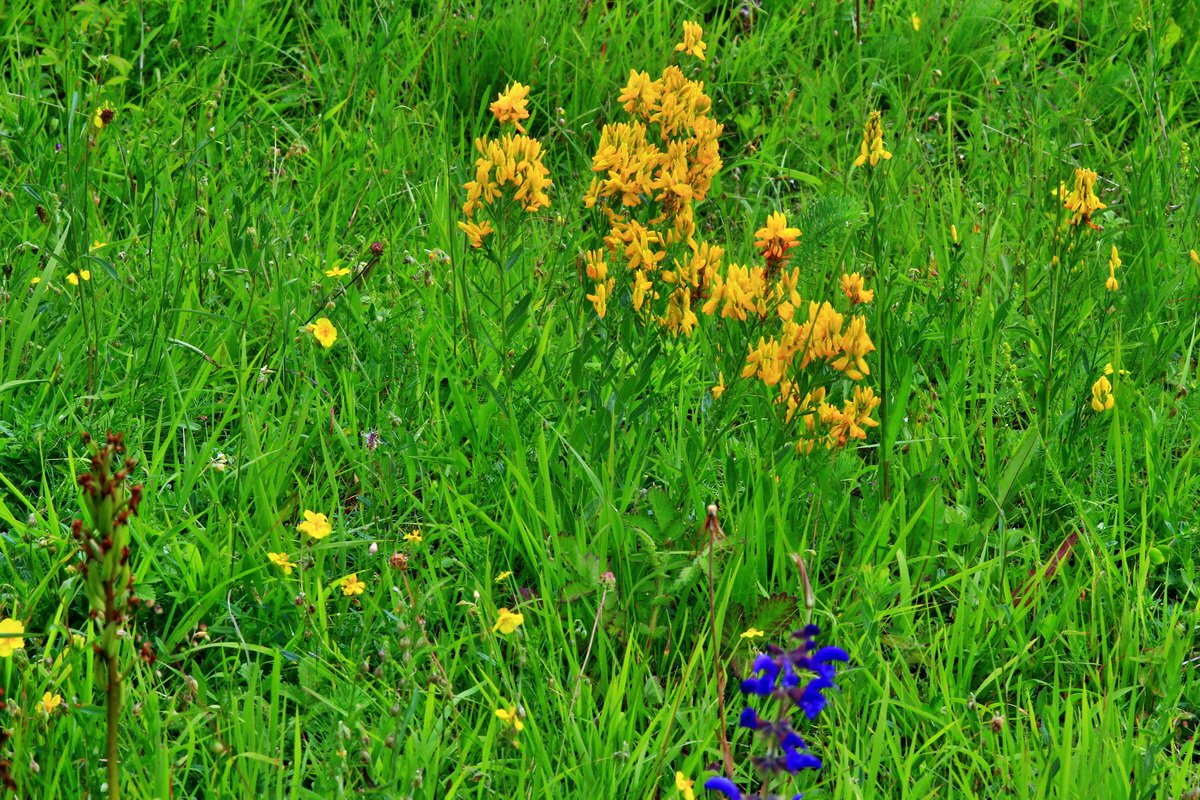 2013_06_30_00025423p_Bildgr��e �ndern