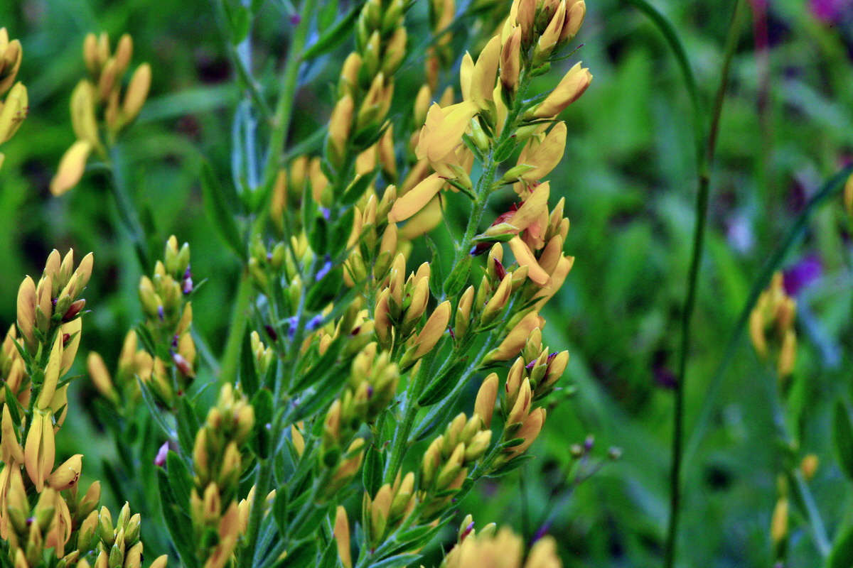 2013_06_30_00025431p_Bildgr��e �ndern