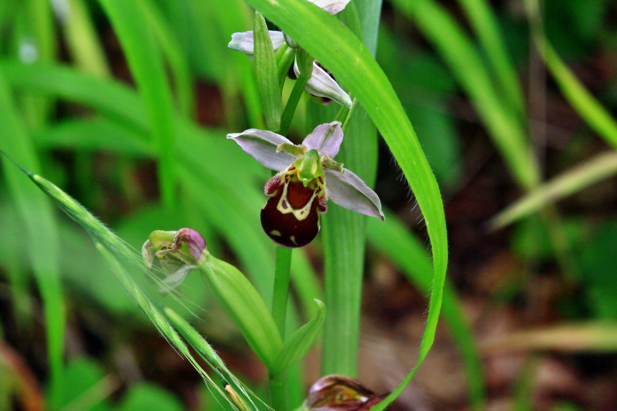 2013_06_30_00025456p_Bildgr��e �ndern