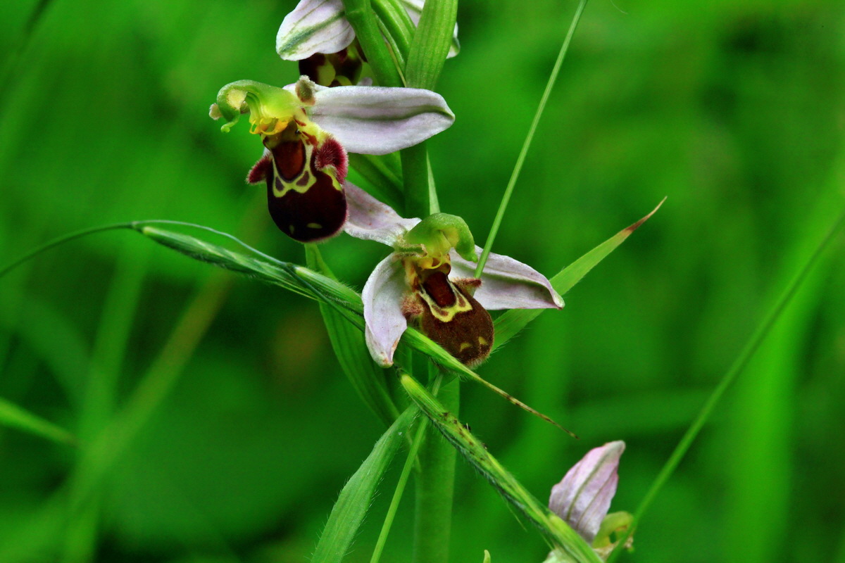 2013_06_30_00025463p_Bildgr��e �ndern