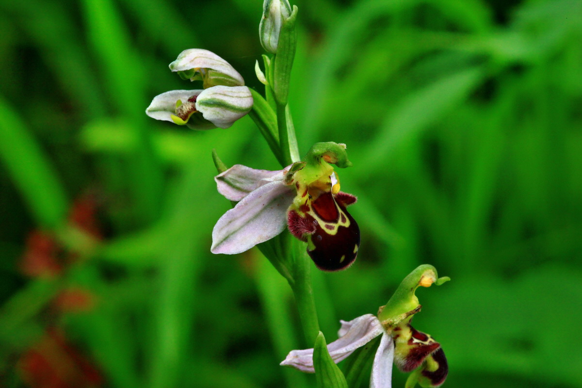 2013_06_30_00025469p_Bildgr��e �ndern