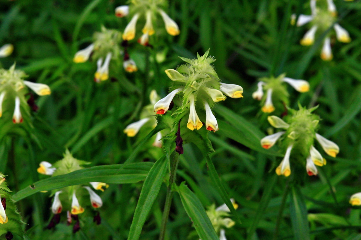 2013_06_30_00025498p_Bildgr��e �ndern