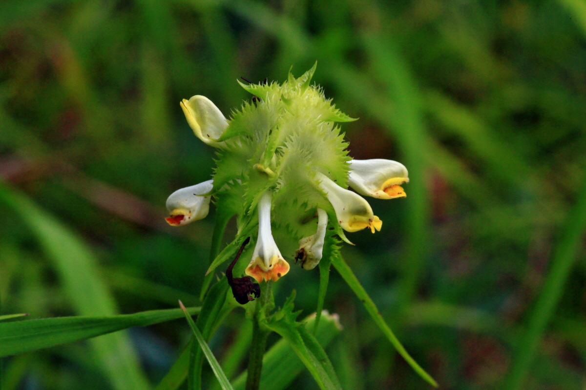 2013_06_30_00025502p_Bildgr��e �ndern