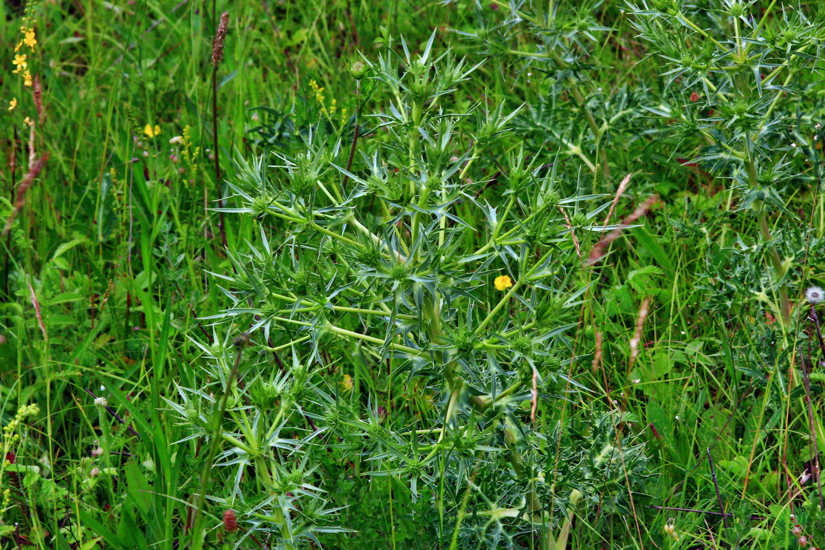 2013_06_30_00025531p_Bildgr��e �ndern