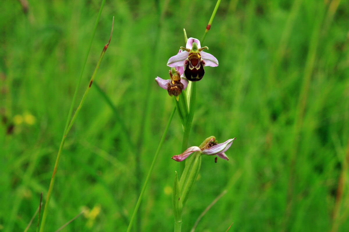 2013_06_30_00025540p_Bildgr��e �ndern