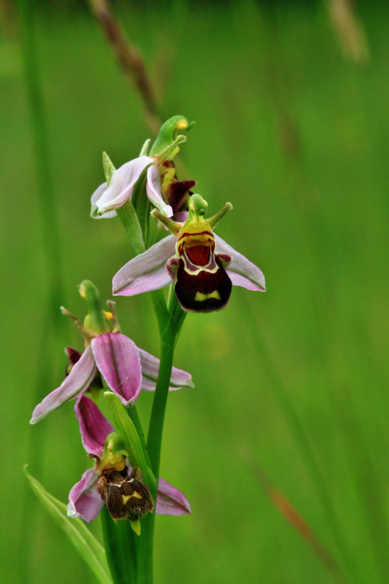 2013_06_30_00025548p_Bildgr��e �ndern