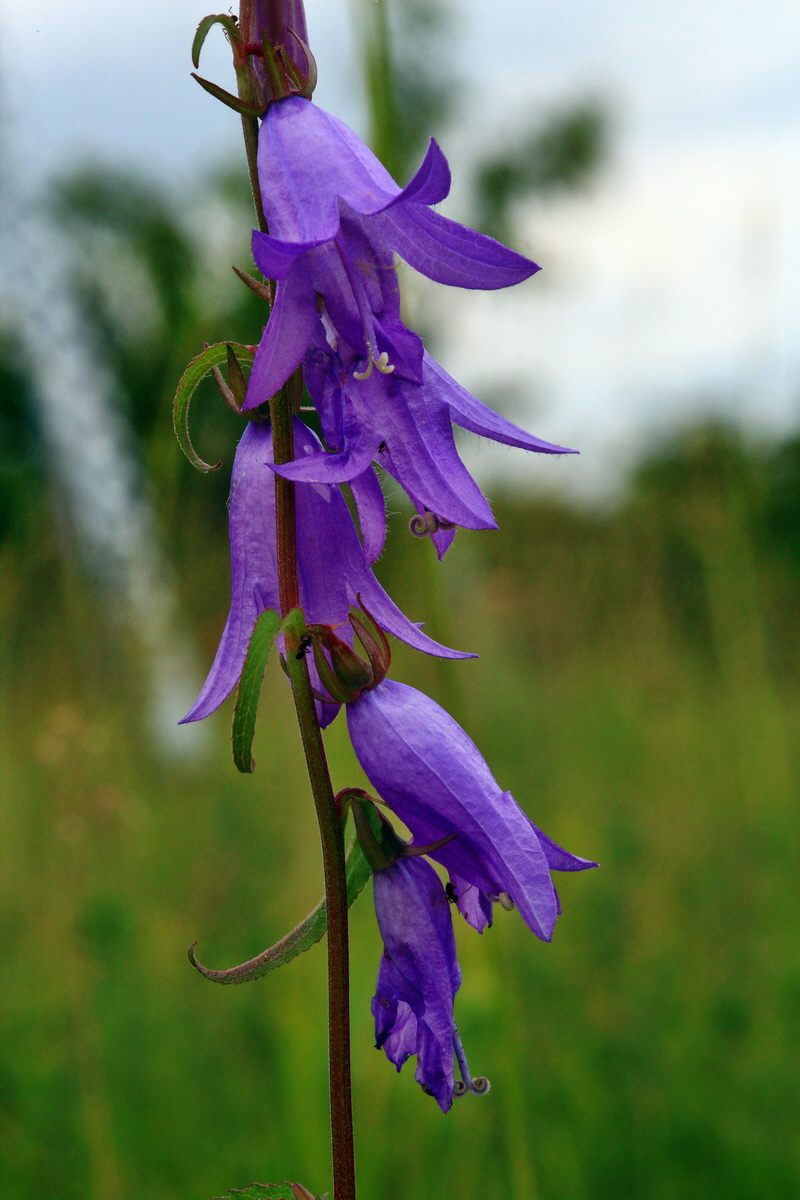 2013_06_30_00025561p_Bildgr��e �ndern