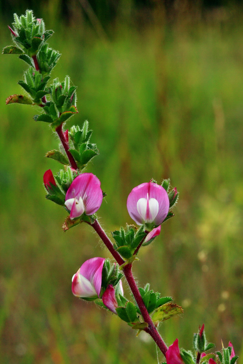 2013_06_30_00025565p_Bildgr��e �ndern