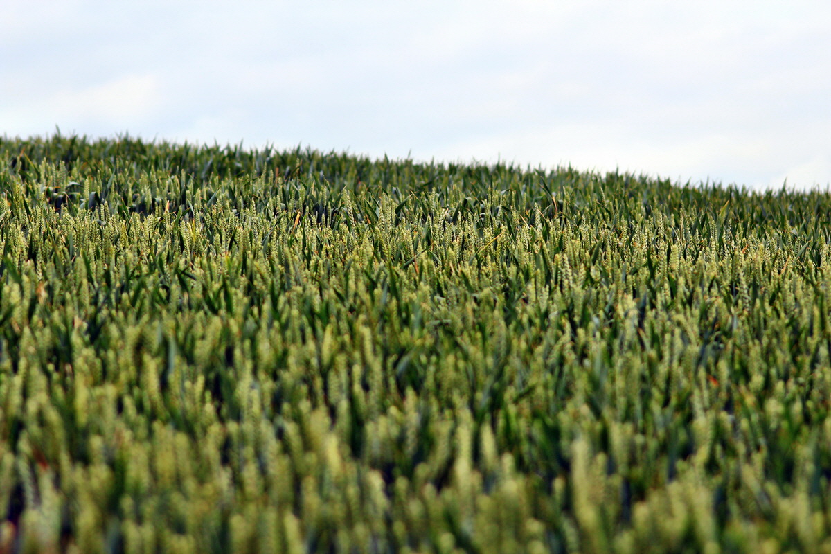 2013_06_30_00025573p_Bildgr��e �ndern