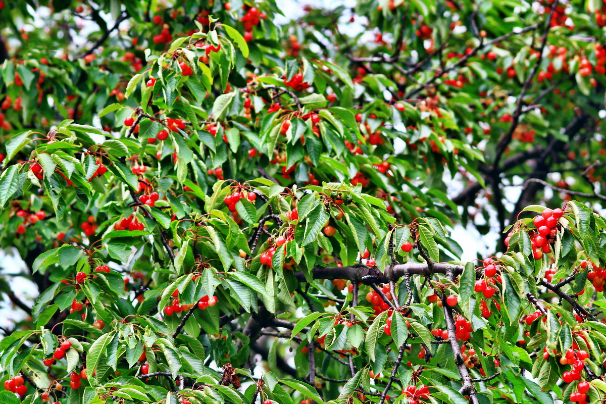 2013_06_30_00025578p_Bildgr��e �ndern