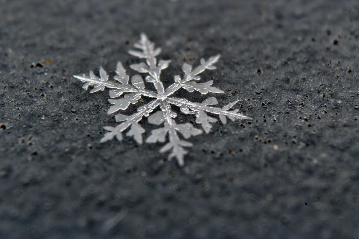 IMG_2013_01_19_00005441_phm2_Bildgr��e �ndern