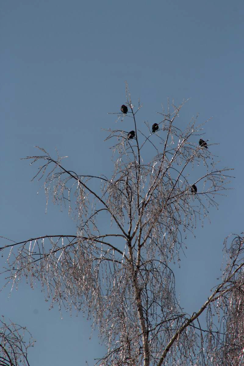 IMG_2013_04_07_00006855_phm2_Bildgr��e �ndern