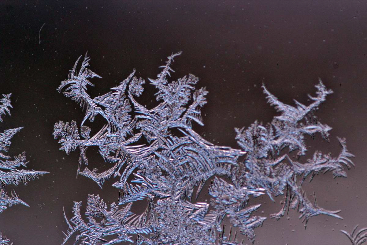 IMG_2013_04_07_00006883_phm2_Bildgr��e �ndern