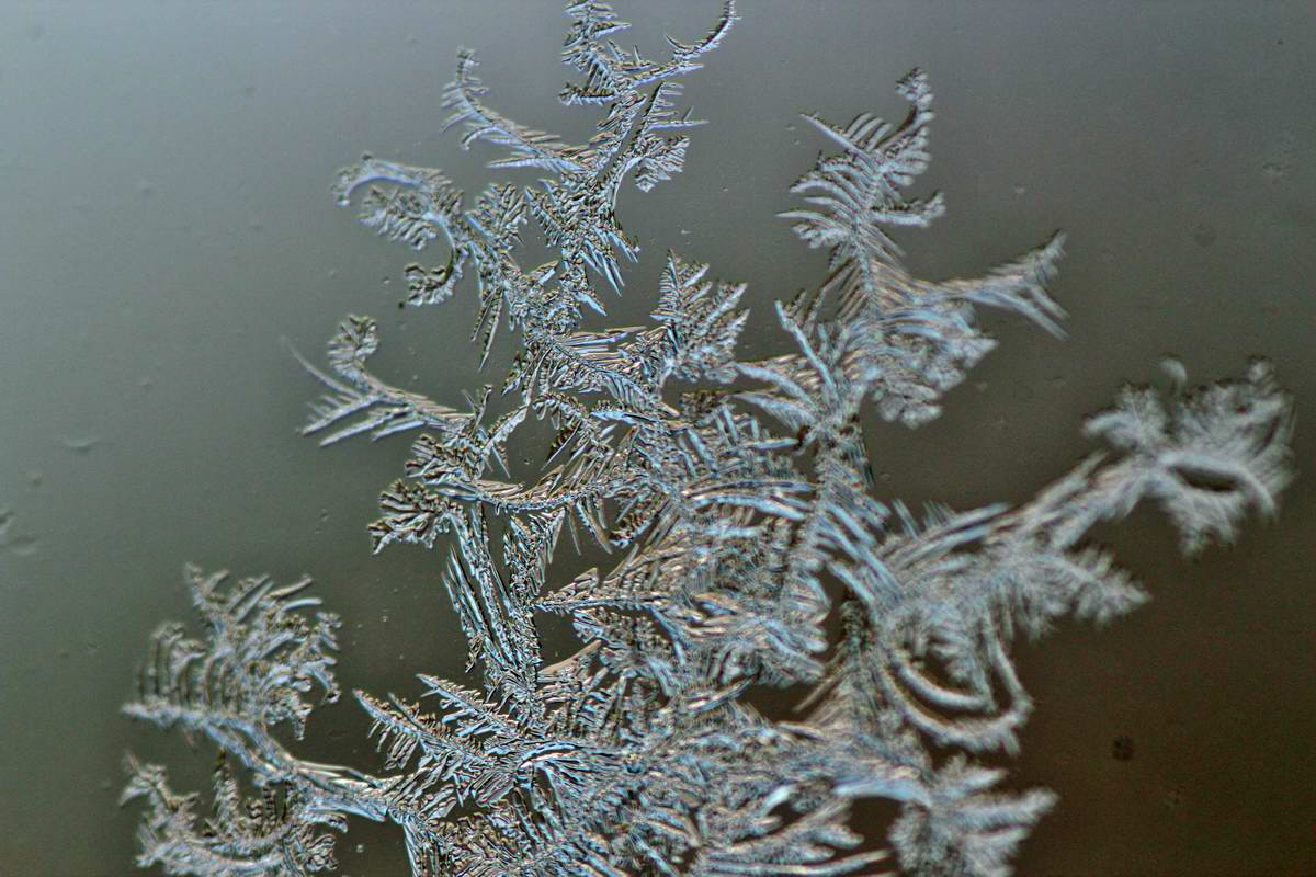 IMG_2013_04_07_00006922_phm2_Bildgr��e �ndern