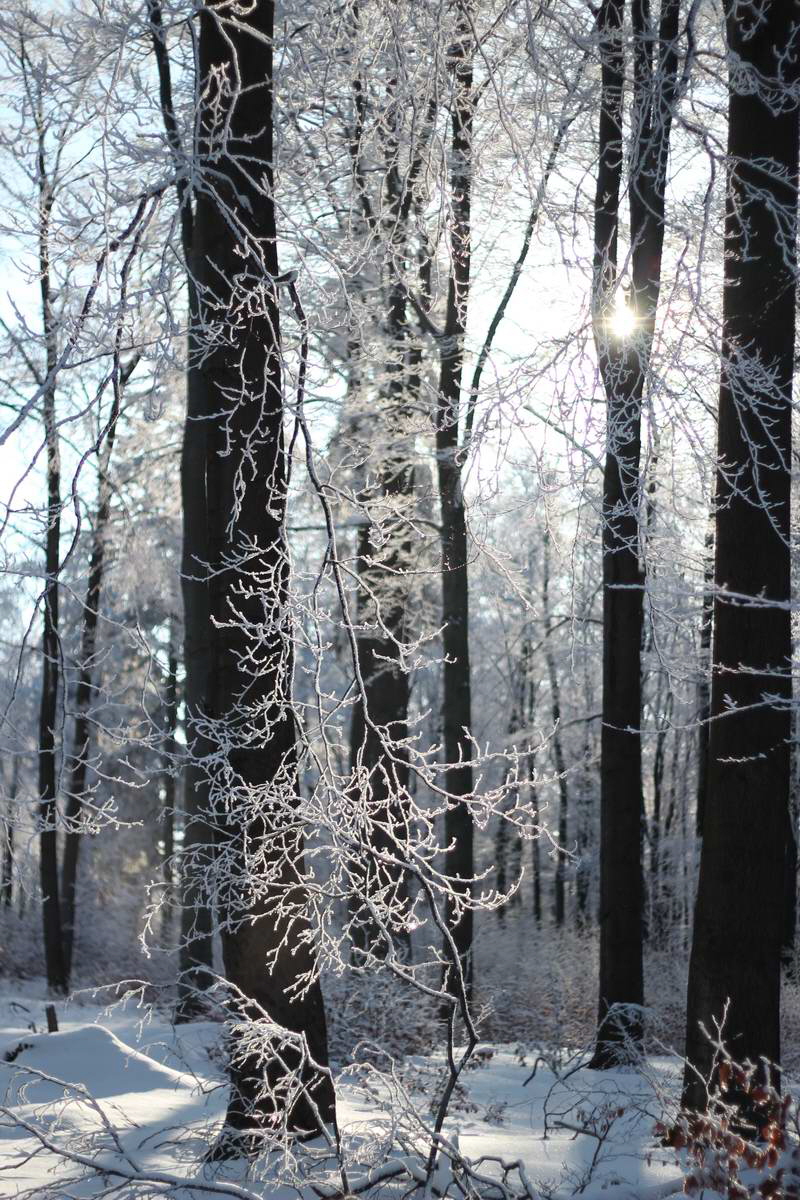 IMG_2013_03_13_00007460_Bildgr��e �ndern