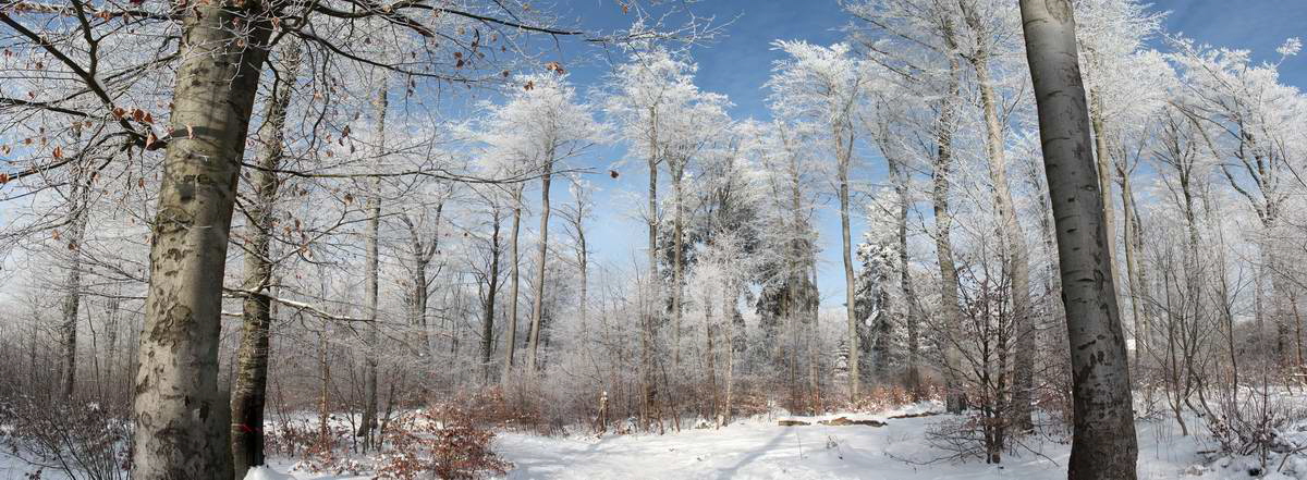 [pano24]-IMG_2013_01_26_00007817_IMG_2013_01_26_00007830-9 images_Bildgr��e �ndern