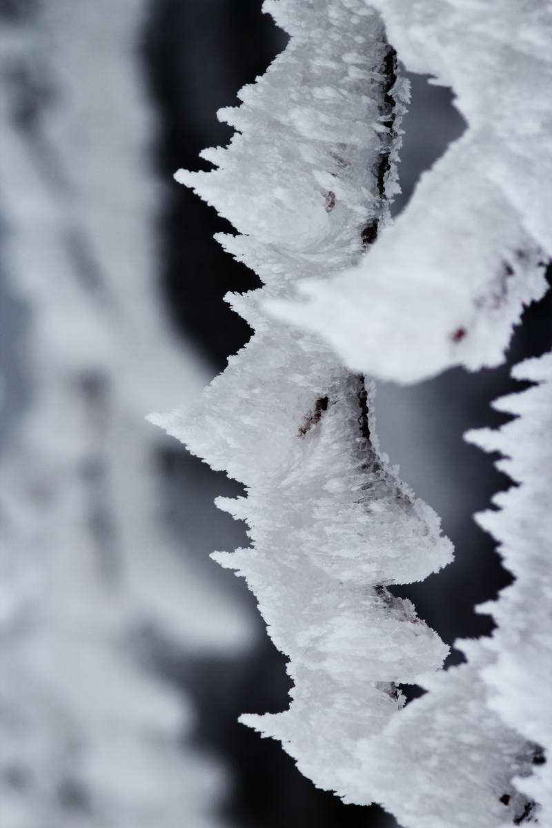 IMG_2013_02_27_00006969a_Bildgr��e �ndern